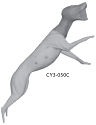 CY3-050C